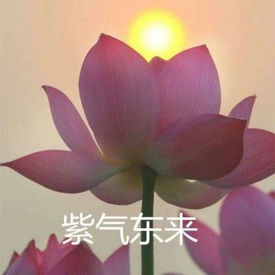 烈火如歌阿里官方版下载